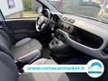 Fiat Panda 1.0 firefly hybrid s&s 70cv 5p.ti KMCERTIFICAT Grigio - thumbnail 8
