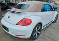 Volkswagen Beetle Cabriolet Exclusive Sport BMT White - thumbnail 6
