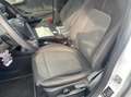Ford Puma 1.0 ecoboost ST-Line s Bianco - thumbnail 3