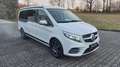 Mercedes-Benz Marco Polo Marco Polo 300 d 4MATIC EDITION 4MATIC AMG LEDER AHK STH Weiß - thumbnail 3