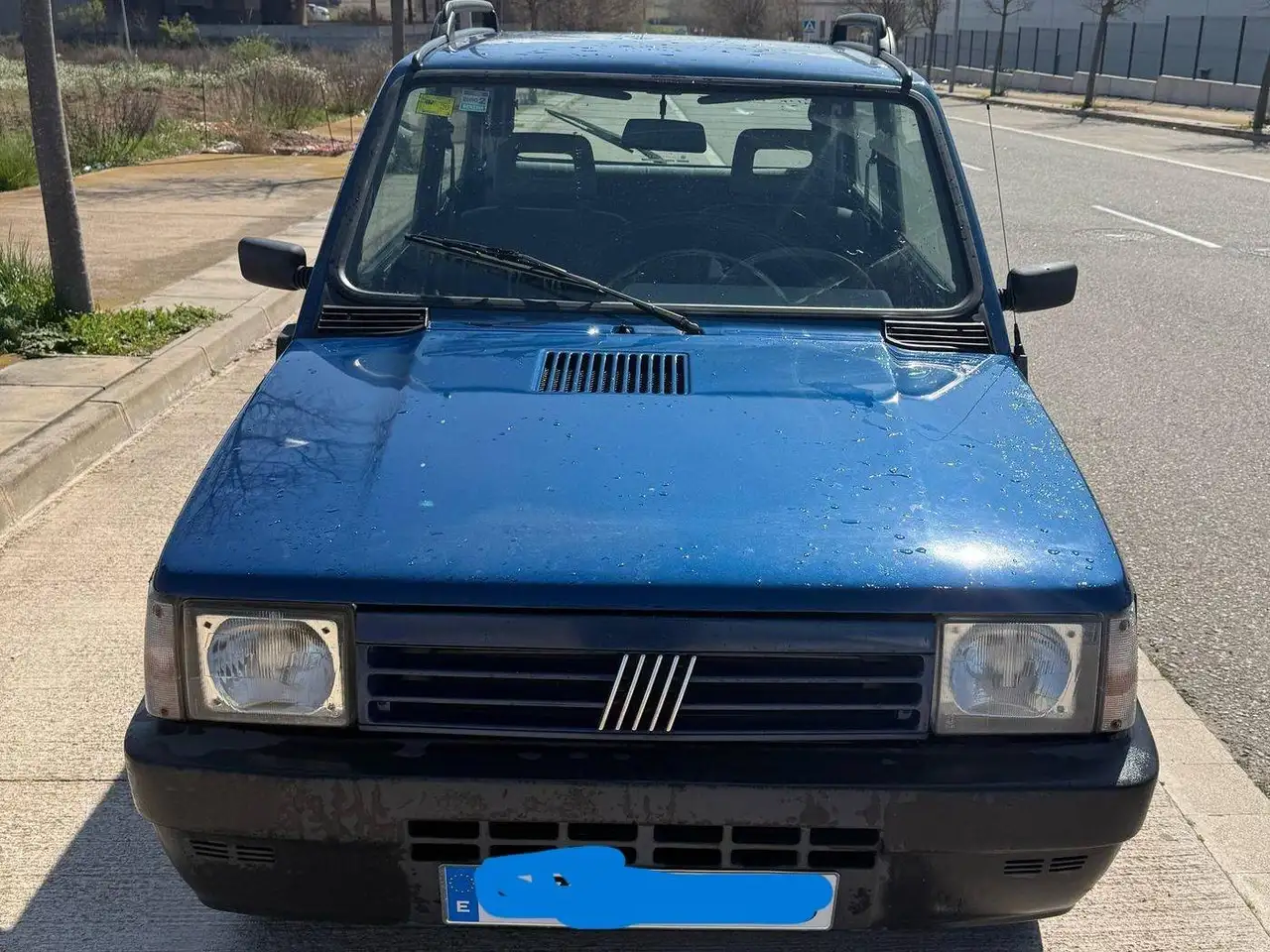 Fiat Panda 4x4, foto 1