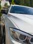 BMW 435 435d xDrive Coupe, M Paket, M Carbon Teile, Österreich-Paket Aut. Österreich-Paket Weiß - thumbnail 6