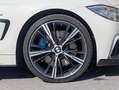 BMW 435 435d xDrive Coupe, M Paket, M Carbon Teile, Österreich-Paket Aut. Österreich-Paket Weiß - thumbnail 14