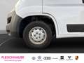 Citroen Jumper Grossraumkasten 35 TDI AHK+Klima+RK+Einparksystem Weiß - thumbnail 14