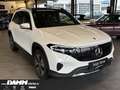 Mercedes-Benz EQB 300 EQB 300 4M Progr. Adv/FAP/Pano/360/7-Sitze/+Flex Weiß - thumbnail 2