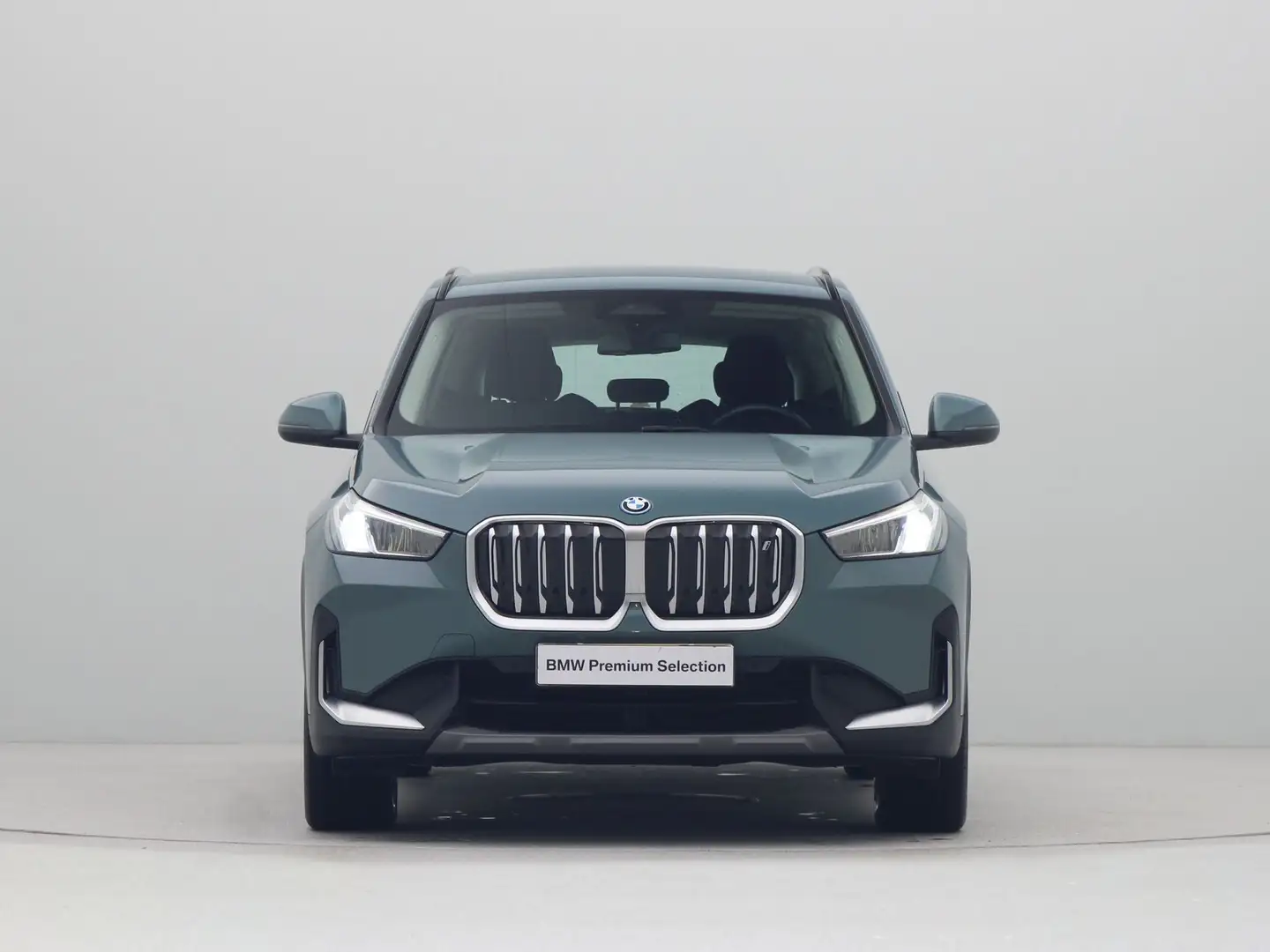 BMW iX1 xDrive30 Launch Edition 67 kWh Groen - 2