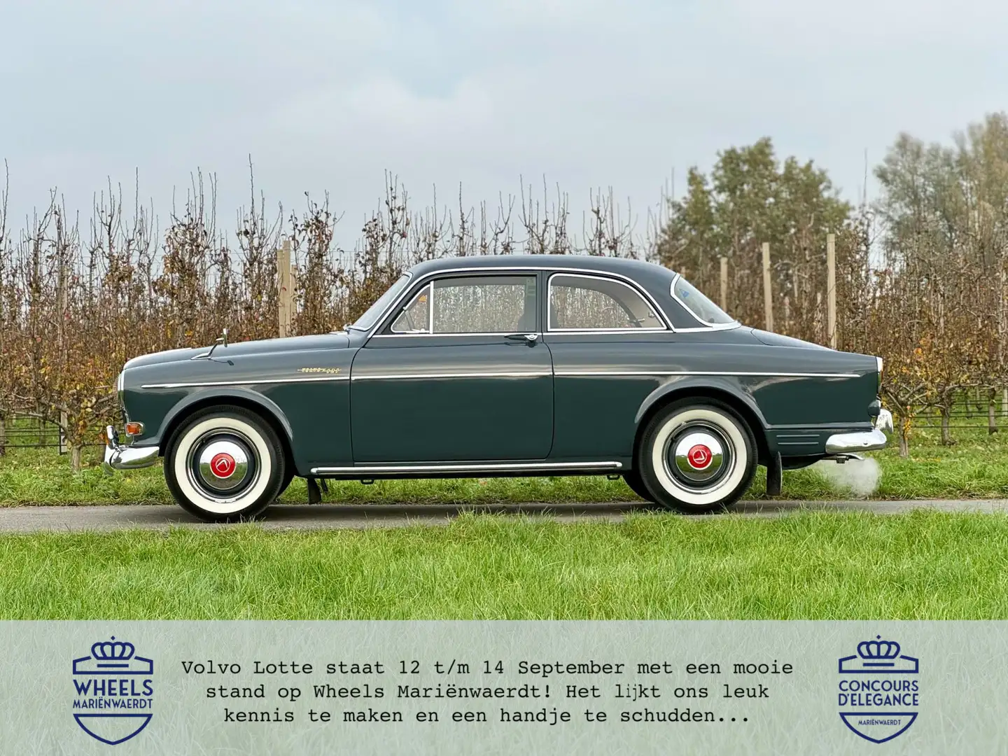 Volvo Amazon 121 in zeer originele staat, prachtige kleurencomb Grijs - 1
