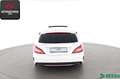Mercedes-Benz CLS 250 Shooting Brake d 4M 3x AMG 360GRAD,H/K Weiß - thumbnail 4