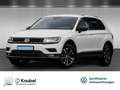 Volkswagen Tiguan IQ.DRIVE 2.0 TDI DSG LED Navi AHK ACC RKamera A... Weiß - thumbnail 1