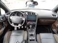 Citroen DS4 DS4 1.6 VTi Style Style Marrone - thumbnail 7