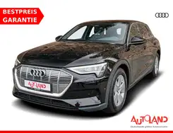 Audi e-tron 50 quattro LED Kamera Sitzheizung Navi