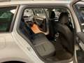 Skoda Octavia Combi 2.0 TDI Kamera,Navi,AHK,ACC Weiß - thumbnail 25