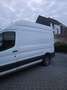 Ford Transit 2.2 - H3 Wit - thumbnail 2