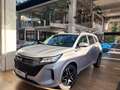 DFSK Fengon 5 DFSK Fengon E5 PHEV | 7-Sitzer | Plug-in-Hybrid Silber - thumbnail 1