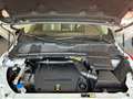 Land Rover Range Rover Evoque Evoque 2.2 sd4 Pure Tech Pack 190cv 5p Weiß - thumbnail 15