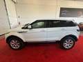 Land Rover Range Rover Evoque Evoque 2.2 sd4 Pure Tech Pack 190cv 5p Blanc - thumbnail 17