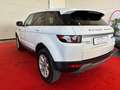 Land Rover Range Rover Evoque Evoque 2.2 sd4 Pure Tech Pack 190cv 5p Blanc - thumbnail 6