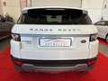 Land Rover Range Rover Evoque Evoque 2.2 sd4 Pure Tech Pack 190cv 5p Blanc - thumbnail 5