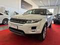 Land Rover Range Rover Evoque Evoque 2.2 sd4 Pure Tech Pack 190cv 5p Weiß - thumbnail 1