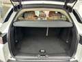 Land Rover Range Rover Evoque Evoque 2.2 sd4 Pure Tech Pack 190cv 5p Blanc - thumbnail 13