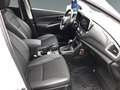 Suzuki S-Cross S-Cross 1,5 Strong Hybrid ALLGRIP 6AGS flash AT Weiß - thumbnail 12