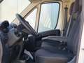 Opel Movano 2.2D 165PK L3H2 Edition CLIMA CRUISE APPLE CARPLAY Wit - thumbnail 6