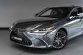 Lexus ES 300 300h Executive Line Adaptief Cruise Lane Carplay Gris - thumbnail 24
