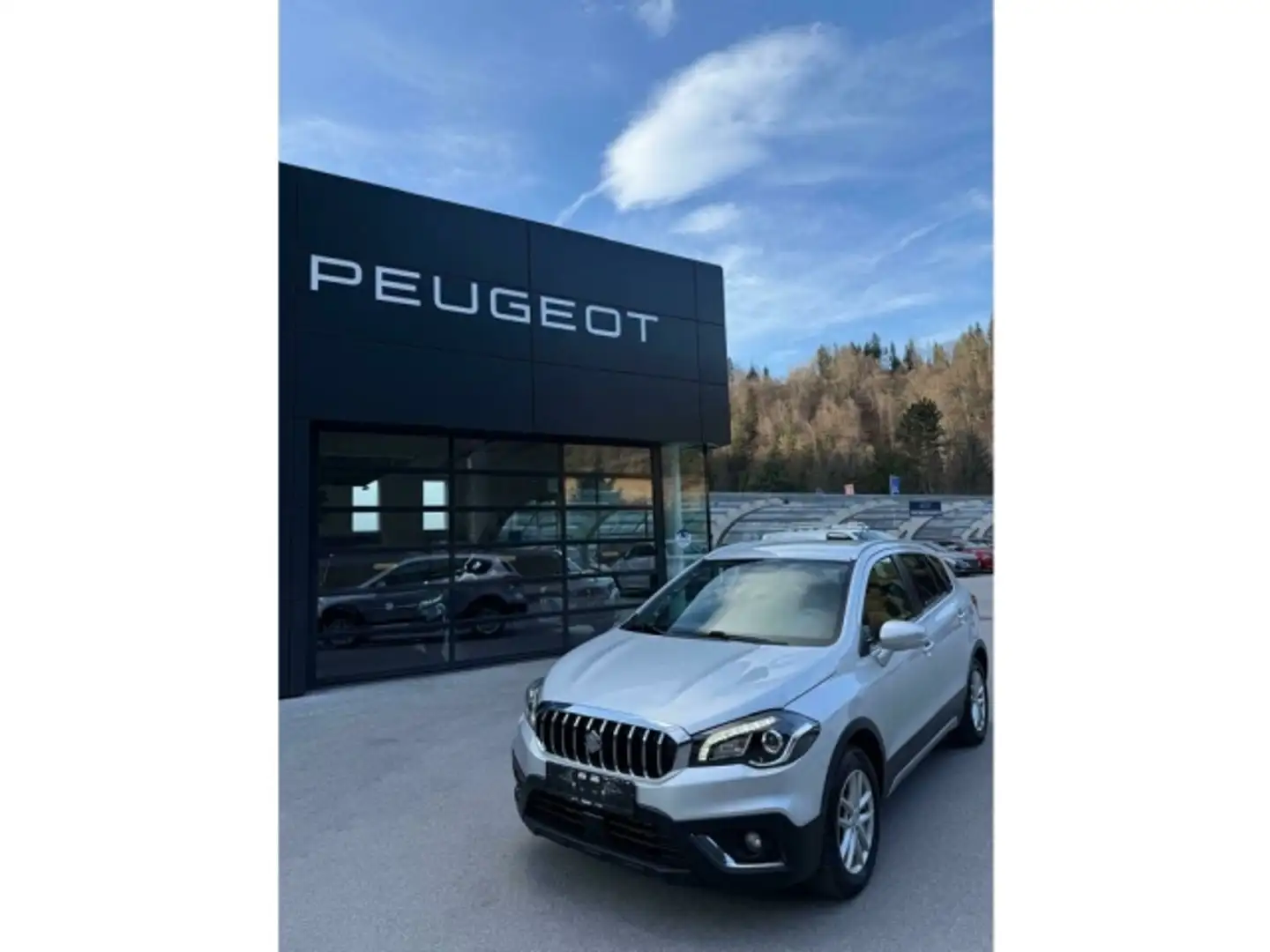 Suzuki SX4 S-Cross Suzuki SX4 S-Cross Gris - 2
