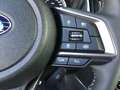 Subaru Forester 2,0i e-Boxer Black Edition AWD Aut. "MODELL 2023" Grün - thumbnail 38