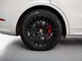 Porsche Cayenne E-Hybrid Platinum Edition Aut. Gris - thumbnail 26