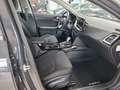 Kia Ceed / cee'd Ceed 1.5T GDI 48V DCT Ultimate Edition Style Grau - thumbnail 10