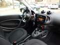 smart forTwo Fortwo Passion Automatik Shz Parkhilfe BT Pano Nero - thumbnail 9