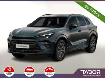 150 DSG Dinamica Cam elHayon