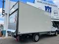 Ford Transit 350 125kW L4 Trend RWD Blanco - thumbnail 12