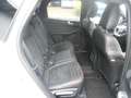 Ford Kuga Hybrid ST-Line X Gris - thumbnail 11