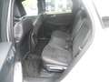Ford Kuga Hybrid ST-Line X Gris - thumbnail 10