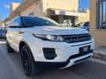 Land Rover Range Rover Evoque 2.2 TD4 Prestige Weiß - thumbnail 2