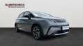 BYD Dolphin Comfort MY2025 Grau - thumbnail 7