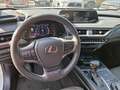 Lexus UX 250h Style Edition Style+ Weiß - thumbnail 10