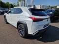 Lexus UX 250h Style Edition Style+ Weiß - thumbnail 3