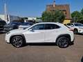 Lexus UX 250h Style Edition Style+ Weiß - thumbnail 2