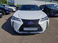 Lexus UX 250h Style Edition Style+ Weiß - thumbnail 8