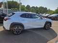 Lexus UX 250h Style Edition Style+ Weiß - thumbnail 6
