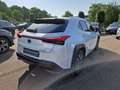 Lexus UX 250h Style Edition Style+ Weiß - thumbnail 5