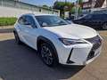 Lexus UX 250h Style Edition Style+ Weiß - thumbnail 7