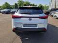Lexus UX 250h Style Edition Style+ Weiß - thumbnail 4
