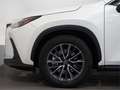 Lexus NX 450h+ Executive 4WD - thumbnail 10