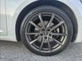 Renault Talisman S.T. Init. P. Blue dCi 118kW(160CV) EDC Blanco - thumbnail 11