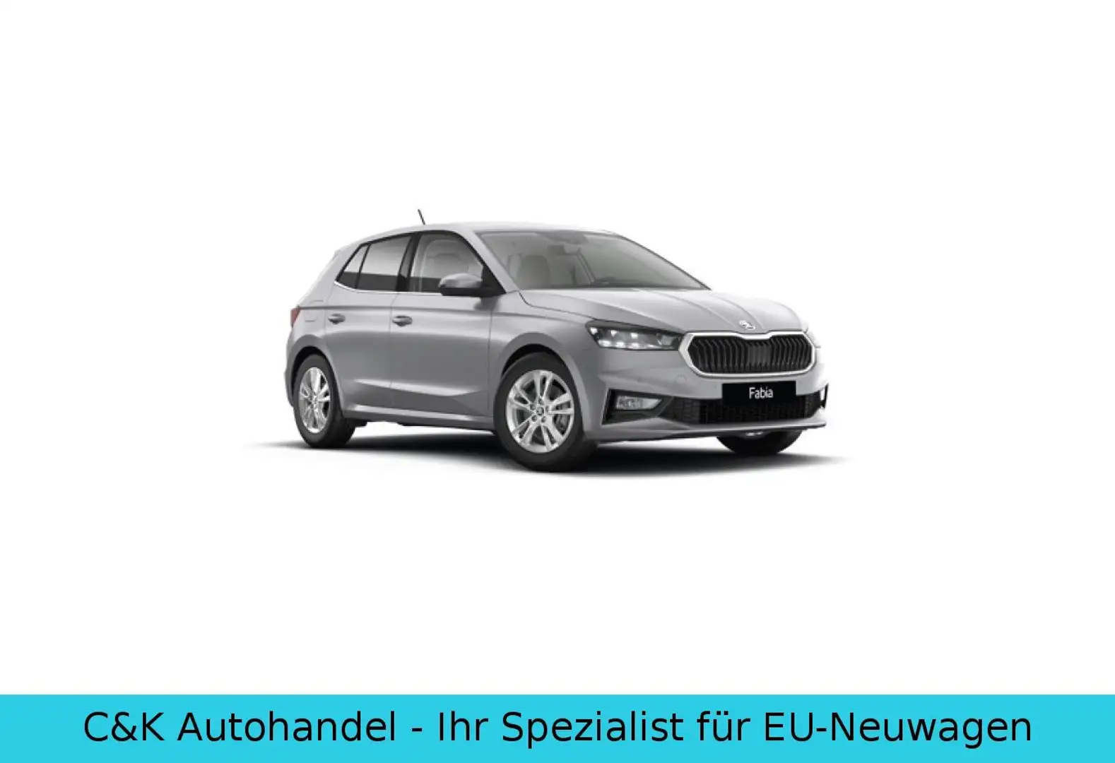 Skoda Fabia 130 Jahre Premium 1.0 TSI 116 PS 7-DSG Silber - 1