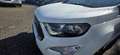 Ford EcoSport 1.5 EcoBlue ST-LINE Navi Xenon Camera TWA 88 kW (1 Weiß - thumbnail 4